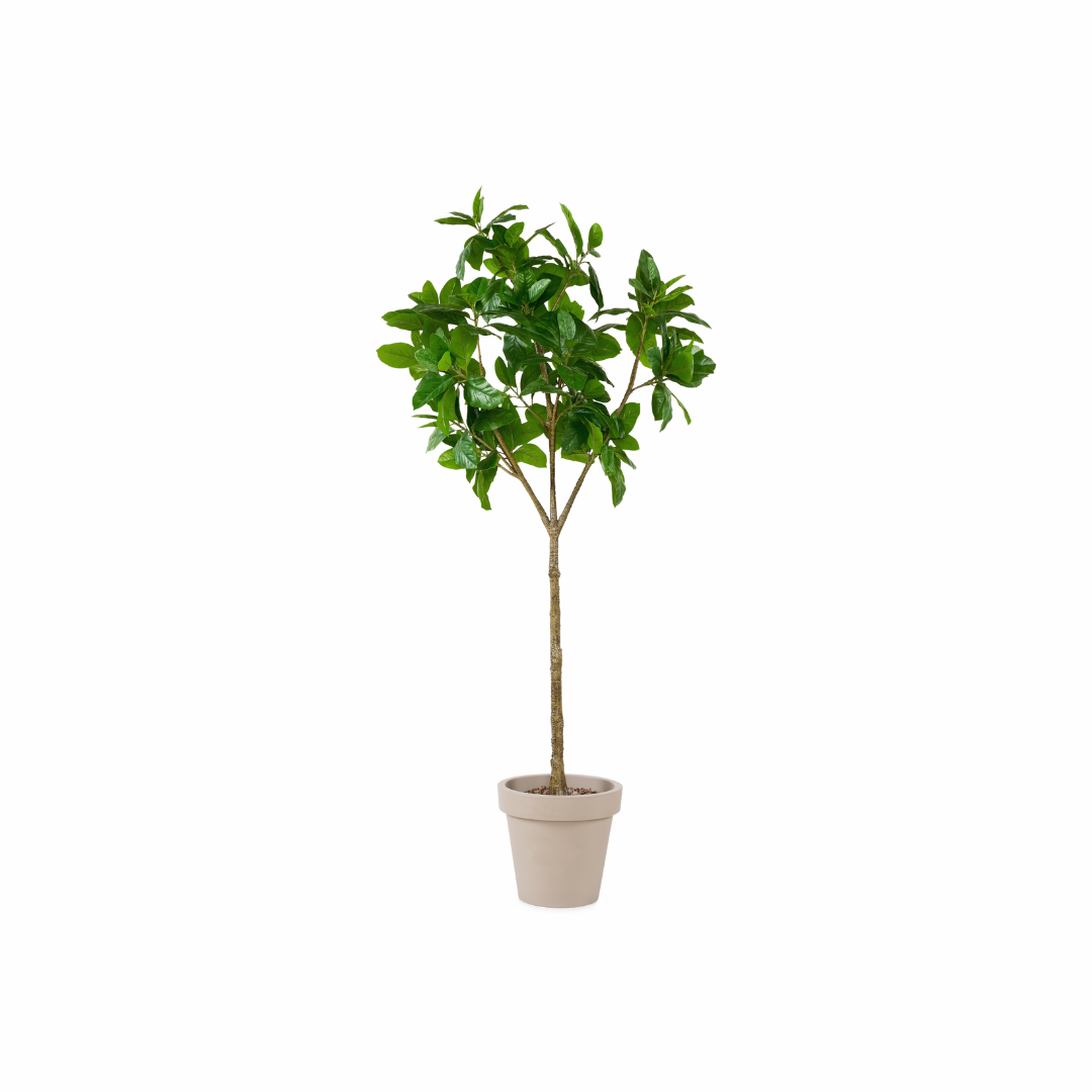 Kunstplant 180CM in pot